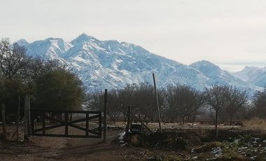 FINCA EN VENTA VALLE DE UCO -VISTAFLORES- Y PROYECTO INMOBILIARIO CON TOUR VIRTUAL