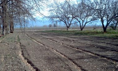 FINCA EN VENTA VALLE DE UCO -VISTAFLORES- Y PROYECTO INMOBILIARIO CON TOUR VIRTUAL