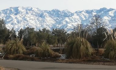 FINCA EN VENTA VALLE DE UCO -VISTAFLORES- Y PROYECTO INMOBILIARIO CON TOUR VIRTUAL