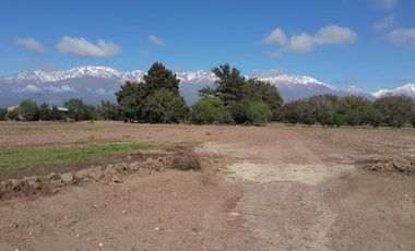 FINCA EN VENTA VALLE DE UCO -VISTAFLORES- Y PROYECTO INMOBILIARIO CON TOUR VIRTUAL