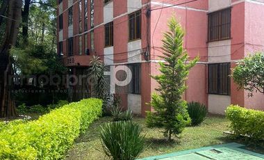 DEPARTAMENTO EN RENTA EN PRADOS DEL ROSARIO