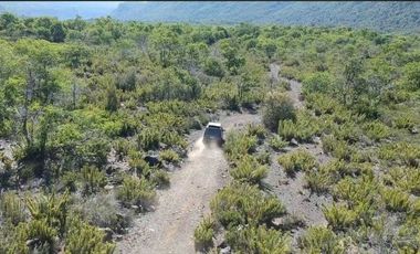 Parcela en venta  en COIHUECO