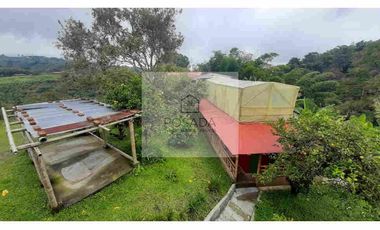 VENTA FINCA FILANDIA QUINDIO
