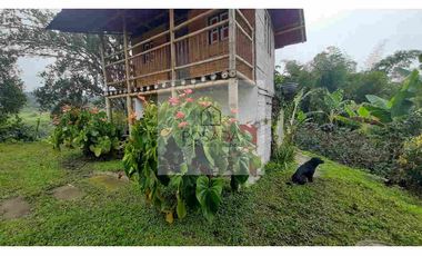 VENTA FINCA FILANDIA QUINDIO