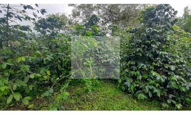 VENTA FINCA FILANDIA QUINDIO