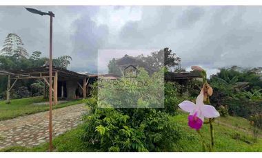 VENTA FINCA FILANDIA QUINDIO