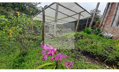 VENTA FINCA FILANDIA QUINDIO
