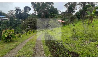 VENTA FINCA FILANDIA QUINDIO