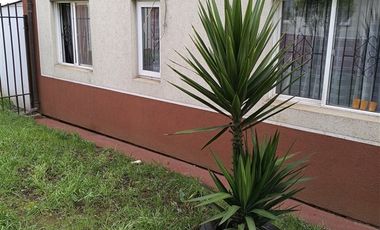 Departamento en Venta en Lelfun 0470