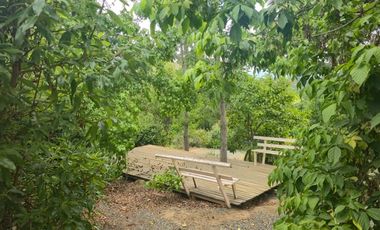 Terreno agrícola perfecto para Paltos o Cítricos