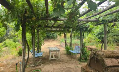 Terreno agrícola perfecto para Paltos o Cítricos