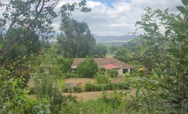 Terreno agrícola perfecto para Paltos o Cítricos