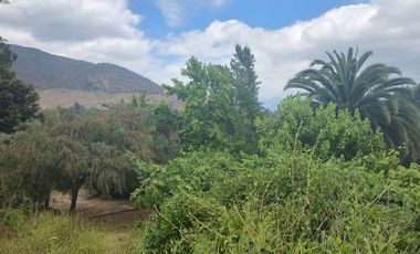 Terreno agrícola perfecto para Paltos o Cítricos