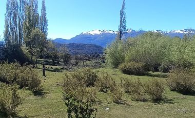 LAGO VERDE