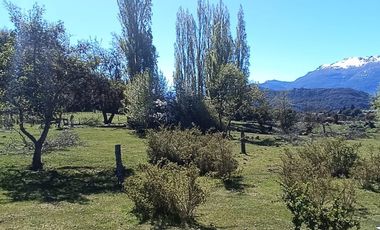 LAGO VERDE