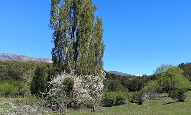 LAGO VERDE