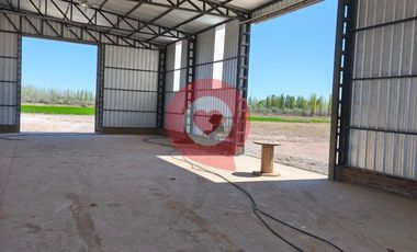 Terreno industrial - Sargento Vidal