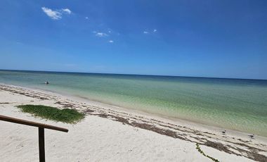 Departamento Frente Al Mar con Alberca | Renta Mensual o Anual en Telchac Puerto