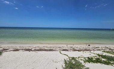 Departamento Frente Al Mar con Alberca | Renta Mensual o Anual en Telchac Puerto