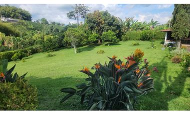 Finca independiente para la venta enla Via Arabia-Betulia!!!