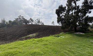 SE VENDE FINCA EN ZIPACÓN, 5 HECTAREAS CON AGUA Y LUZ