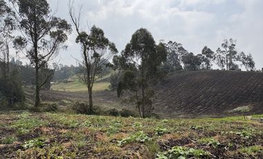 SE VENDE FINCA EN ZIPACÓN, 5 HECTAREAS CON AGUA Y LUZ