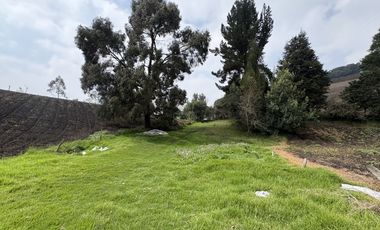 SE VENDE FINCA EN ZIPACÓN, 5 HECTAREAS CON AGUA Y LUZ