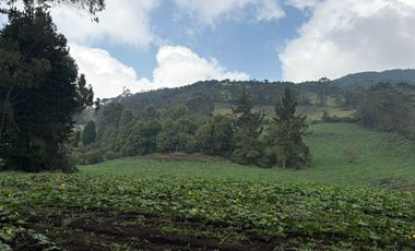 SE VENDE FINCA EN ZIPACÓN 7.5 FNG, PUEBLO VIEJO, VISTA PANORAMICA