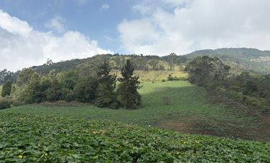 SE VENDE FINCA EN ZIPACÓN 7.5 FNG, PUEBLO VIEJO, VISTA PANORAMICA