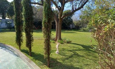 Quinta