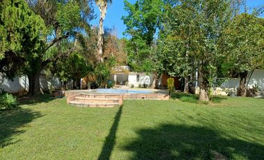 Quinta