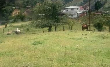 Lote en Venta en Montebello, sector Vía a la Pintada Lote 9
