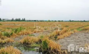 Land for sale in Chai Mongkhon, Samut Sakhon