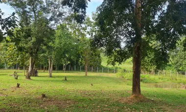 2 Bedroom Villa for sale in Huai Sak, Chiang Rai