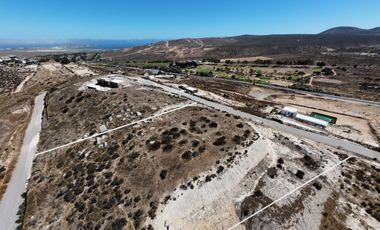 OPORTUNIDAD TERRENO 5000 M2 - COND RODEO TONGOY - VISTA