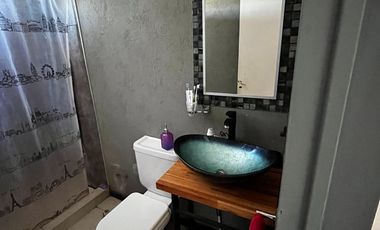 Departamento Rio Atuel, tira 26, departamento 202