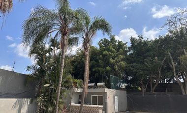 Terreno en renta en Av. Gustavo Díaz Ordaz en Cuernavaca Morelos
