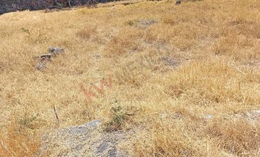 Terreno en Colonia José Ortiz, Oaxtepec – 607 m²