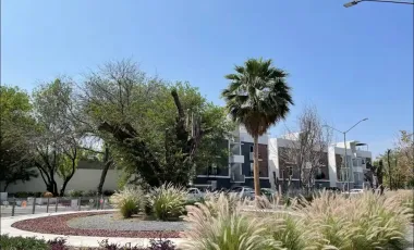 Departamento en renta en El Sabino, Guadalupe, Nuevo León
