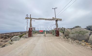 Parcela en venta  en COQUIMBO