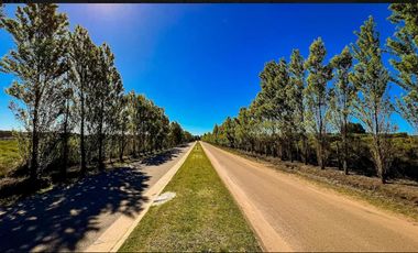 Terreno en las Prunas