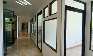 Oficina en venta y renta en Presa Salinillas, Loma Hermosa, Miguel Hidalgo