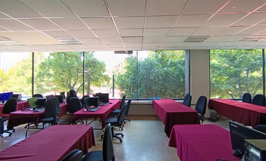 Oficina en venta y renta en Presa Salinillas, Loma Hermosa, Miguel Hidalgo