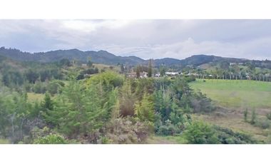 Se arrienda apartamento ubicado en el municipio de La Ceja Antioquia.