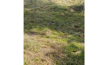 Venta lote plano en Tibacuy excelente precio alta valorización