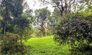 Finca en venta Zipacón