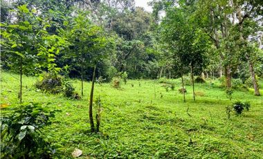 Finca en venta Zipacón