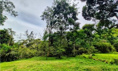 Finca en venta Zipacón