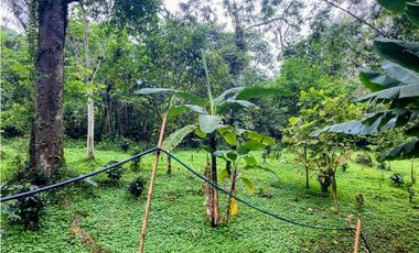 Finca en venta Zipacón