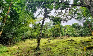 Finca en venta Zipacón